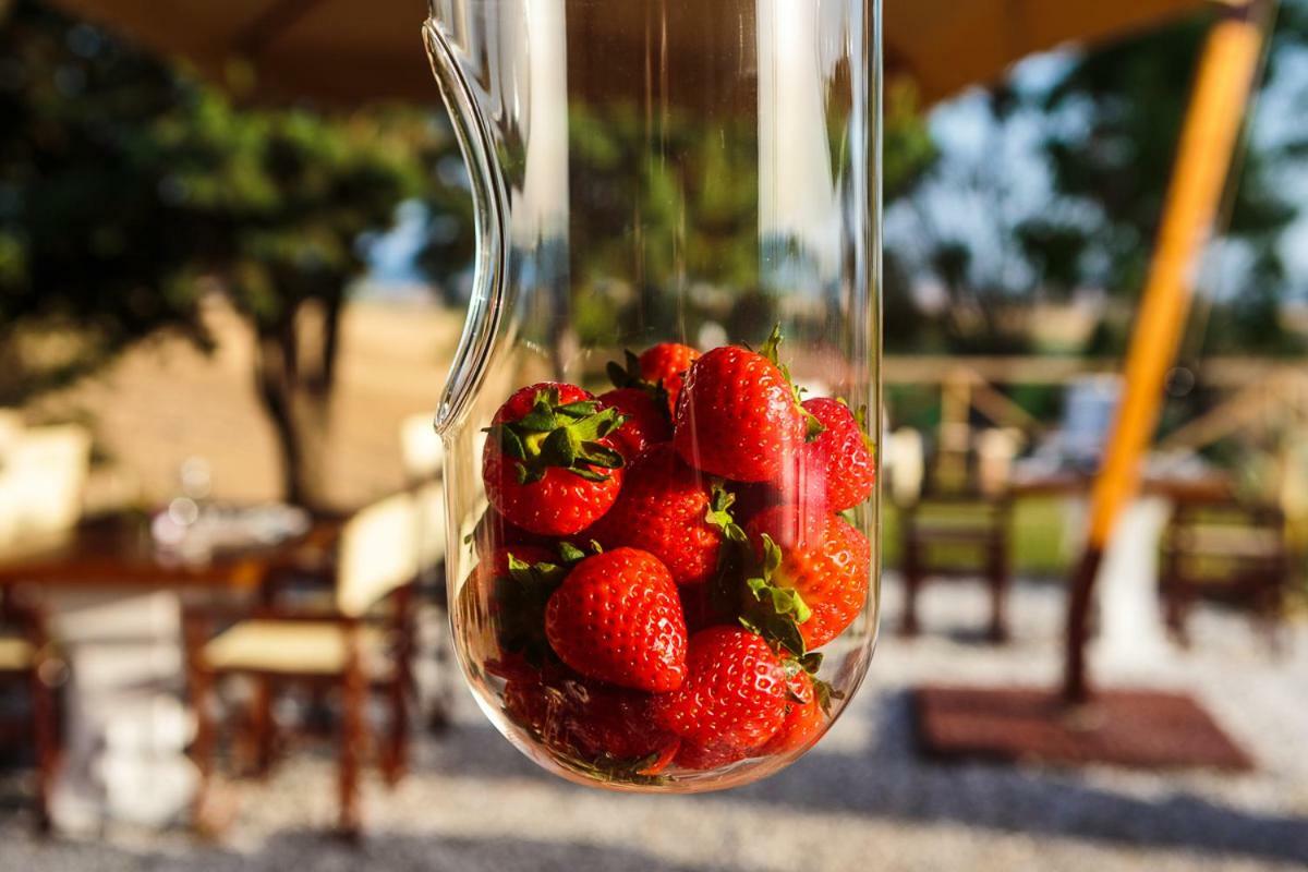 サンタ・ルーチェ Il Montelletto Bed & Breakfast エクステリア 写真